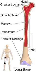 Hardware Removal Aftercare Instructions What You Need To Know