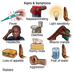 Rabies Signs and Symptoms