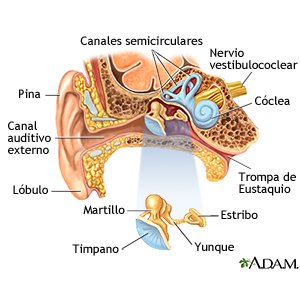 Neurinoma Del Acustico Inpatient Care Care Guide Information En Espanol