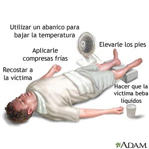 Agotamiento Por Calor Care Guide Information En Espanol