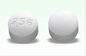 Pill 256 White Round is Oxybutynin Chloride Extended-Release