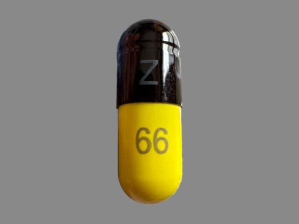 Pill Z 66 Black & Yellow Capsule/Oblong is Nitrofurantoin (Monohydrate/Macrocrystals)