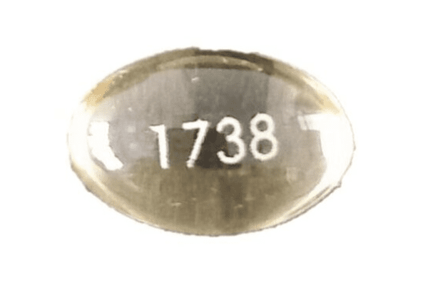 Pill 1738 Yellow Capsule/Oblong is Icosapent Ethyl