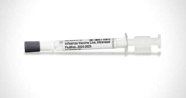 Flumist 2024-2025 formula 0.2 mL intranasal sprayer medicine