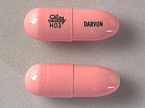 Pill Lilly H03 DARVON is Darvon 65 mg