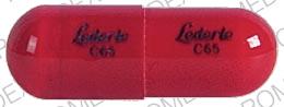 Pill Lederle C65 Red Capsule/Oblong is Cephalexin