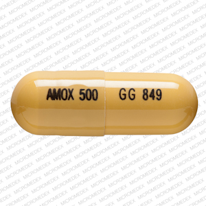 Voquezna dual pak amoxicillin 500 mg AMOX 500 GG 849 Front