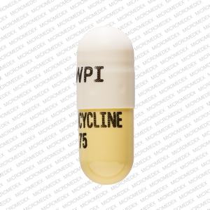 Minocycline hydrochloride 75 mg WPI MINOCYCLINE 75 Back