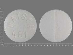Pill WATSON 461 White Round is Glipizide