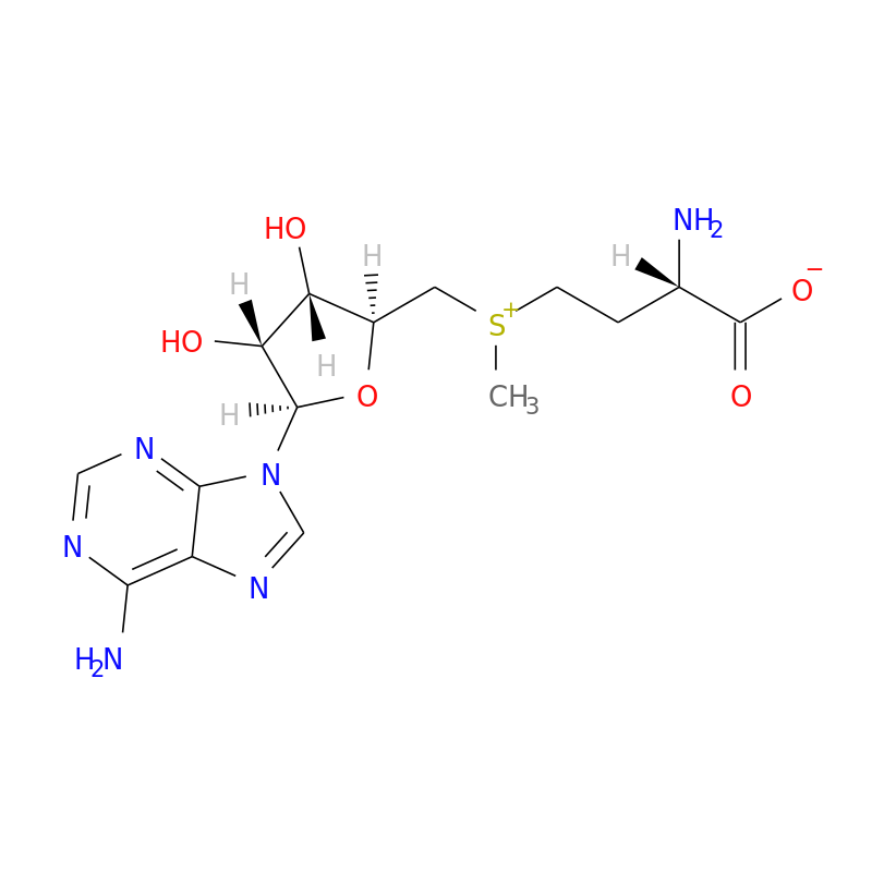 s adenosylmethionine