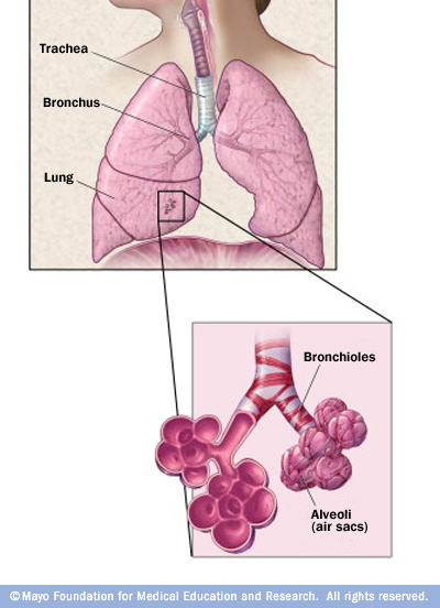 Bronchiolitis - Drugs.com