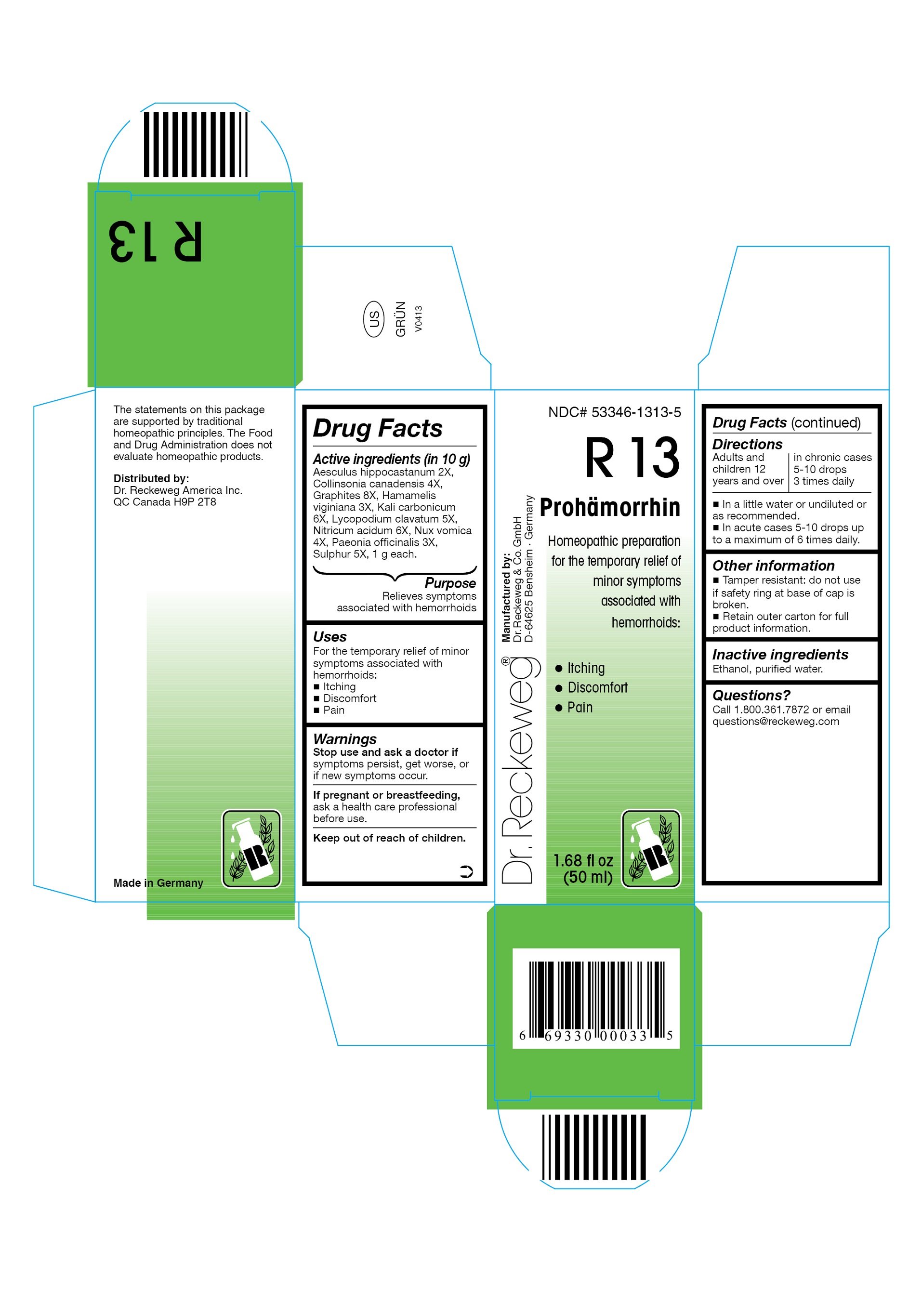 Dr Reckeweg R13 Prohaemorrhin Combination Product Liquid