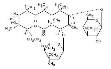 Erythromycin 250 Mg Iv