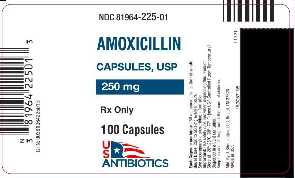 Amoxicillin Capsules: Package Insert - Drugs.com