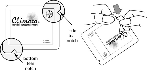 Climara Package Insert Drugs