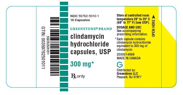Lincomycin Hydrochloride Capsules B Positive Diet