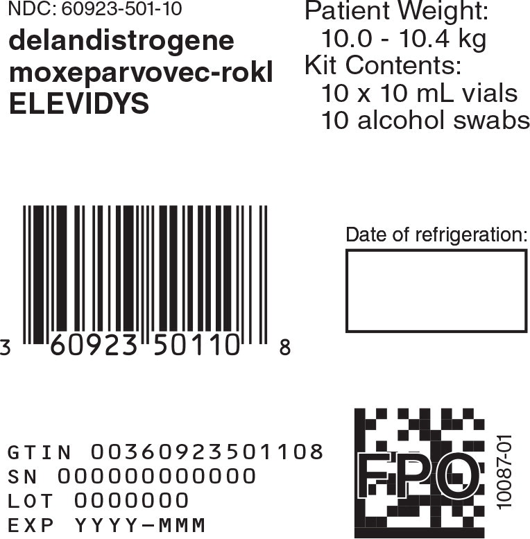 Principal Display Panel -10 mL 10 count Carton Label
