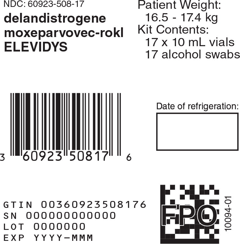 Principal Display Panel -10 mL 17 count Carton Label
