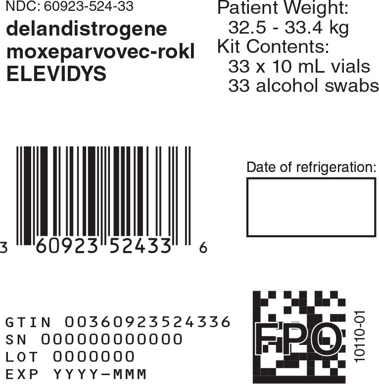 Principal Display Panel -10 mL 33 count Carton Label
