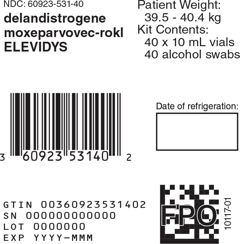 Principal Display Panel -10 mL 40 count Carton Label
