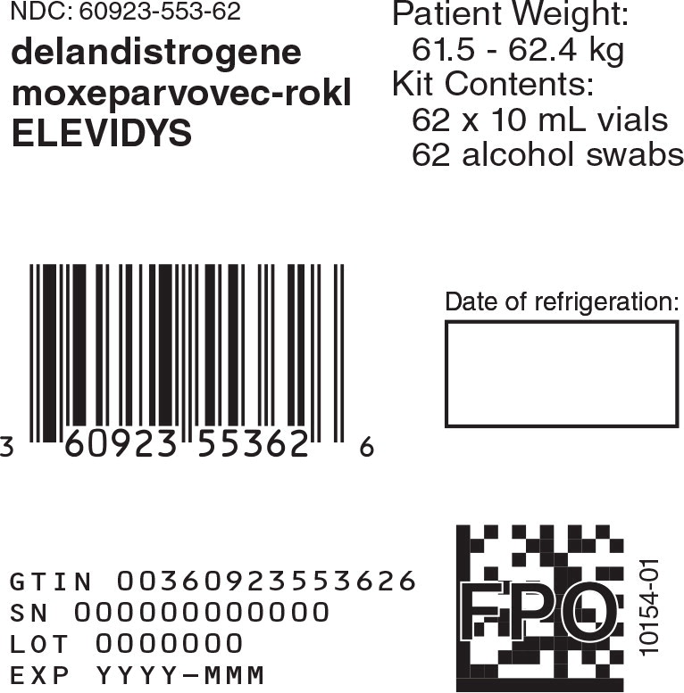 Principal Display Panel -10 mL 62 count Carton Label
