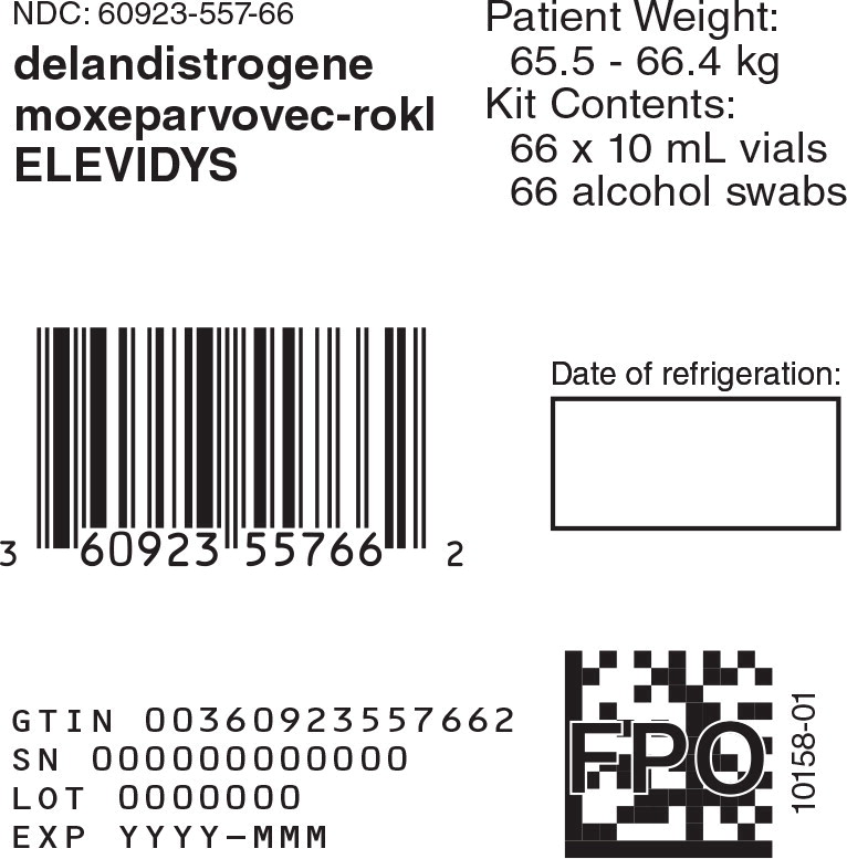 Principal Display Panel -10 mL 66 count Carton Label
