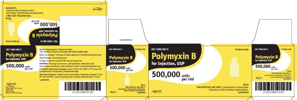 Polymyxin B Injection - FDA prescribing information, side effects and uses