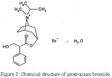 ipratropium mechanism of action