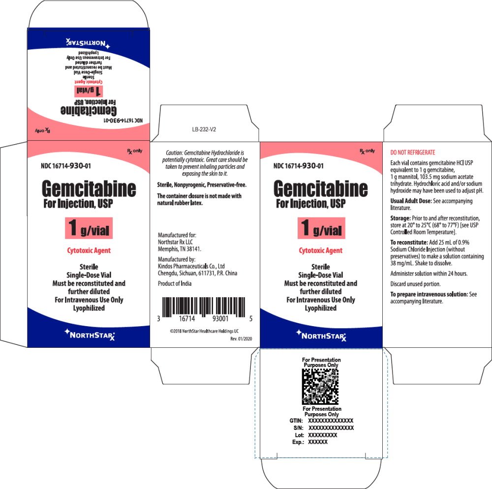 Principal Display Panel – Gemcitabine For Injection, USP 1 g Carton