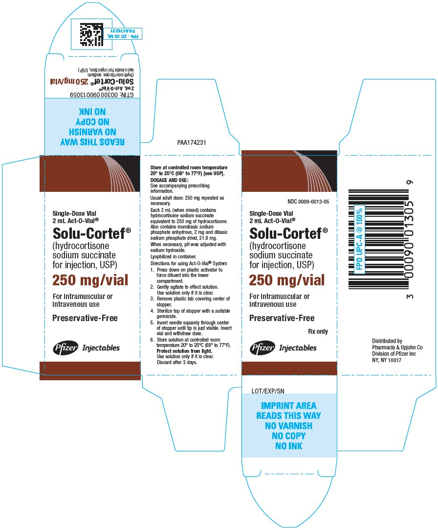 PRINCIPAL DISPLAY PANEL - 250 mg Single-Dose Vial Carton