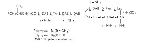 Polymyxin B Sulfate And Trimethoprim