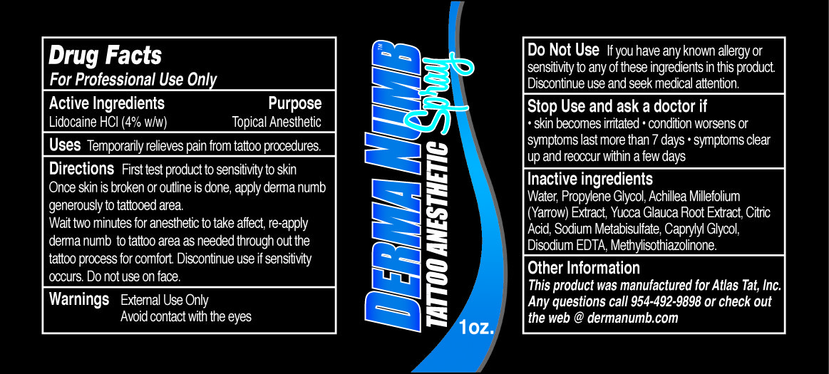 Derma Numb Spray Fda Prescribing Information Side Effects And Uses