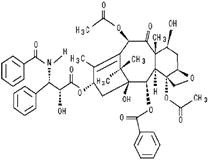 paclitaxel