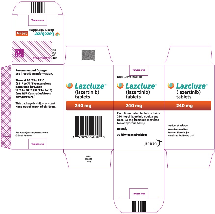 PRINCIPAL DISPLAY PANEL - 240 mg Tablet Bottle Carton