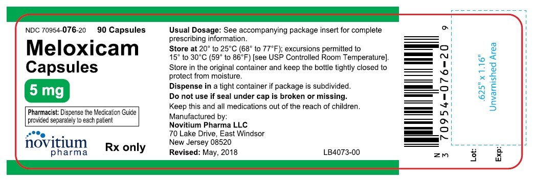 Meloxicam Capsules Package Insert 3001