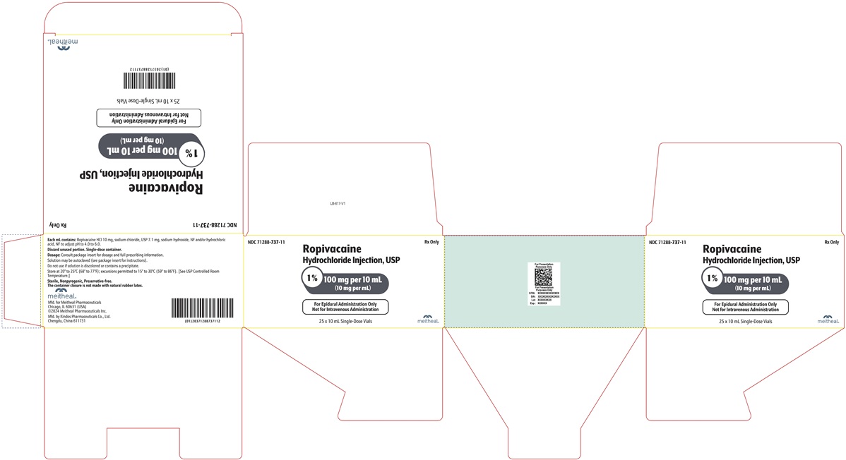 PRINCIPAL DISPLAY PANEL – Ropivacaine Hydrochloride Injection, USP 100 mg per 10 mL Carton