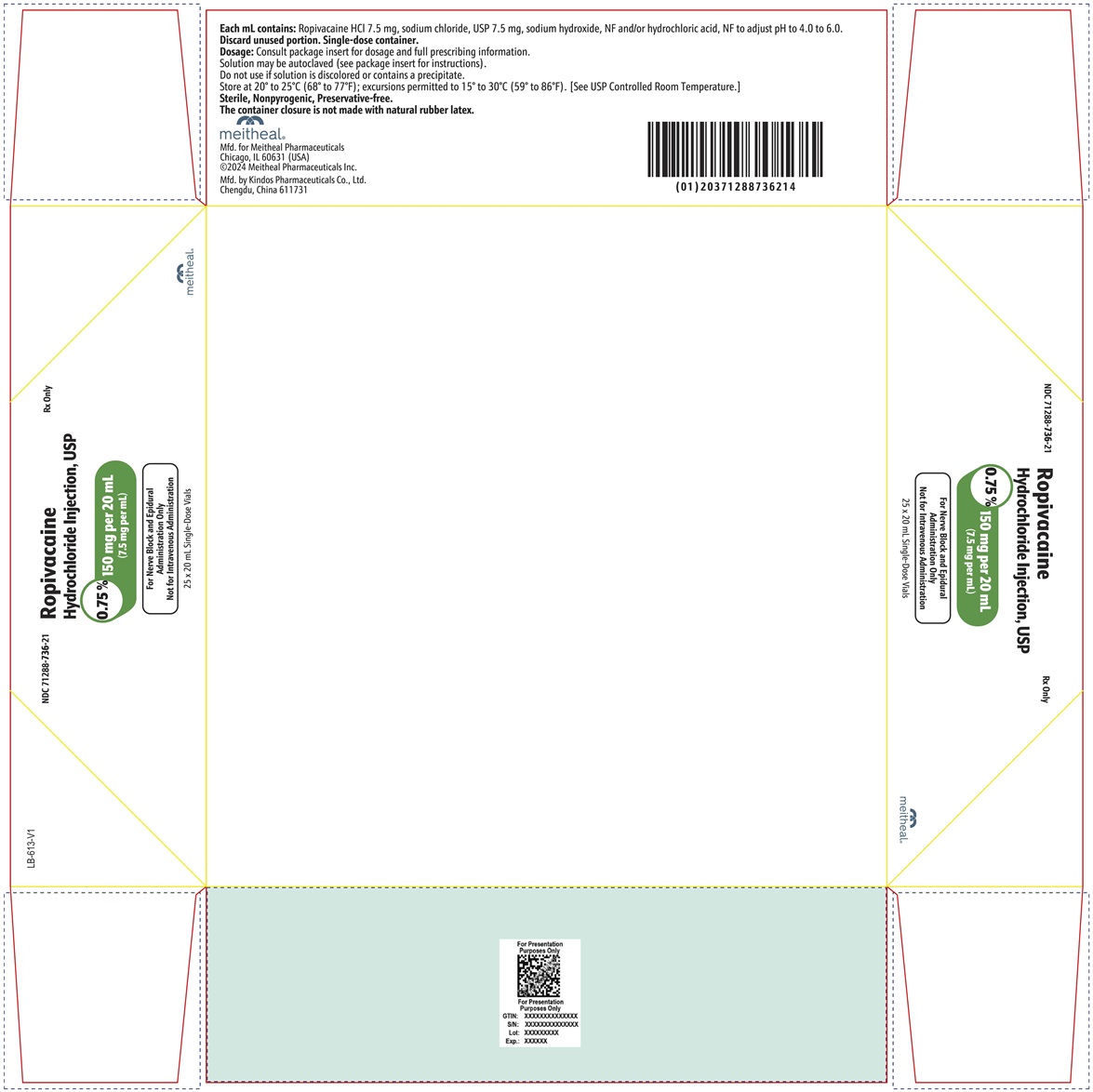 PRINCIPAL DISPLAY PANEL – Ropivacaine Hydrochloride Injection, USP 150 mg per 20 mL Carton