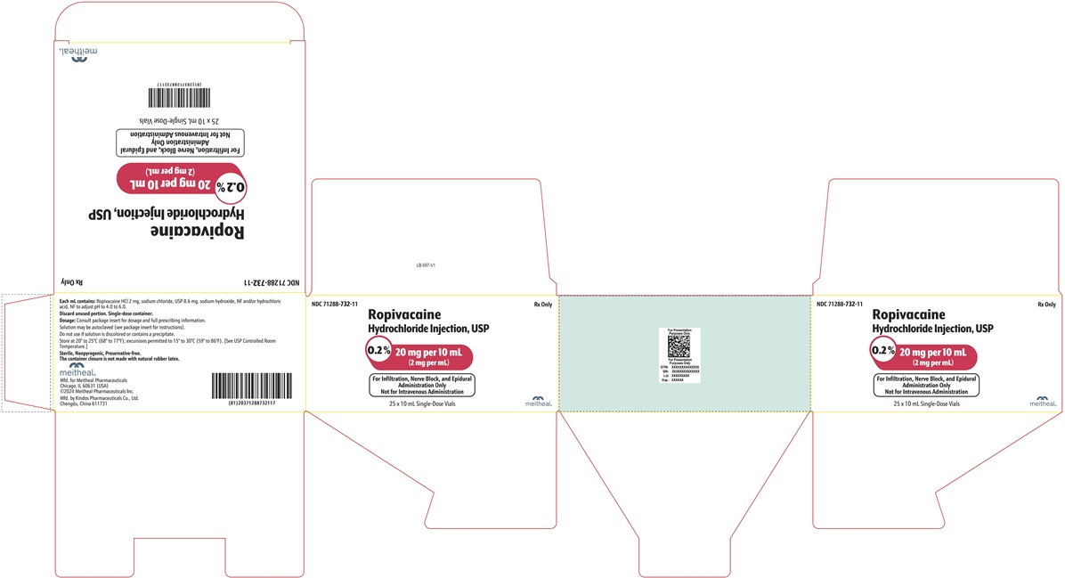 PRINCIPAL DISPLAY PANEL – Ropivacaine Hydrochloride Injection, USP 20 mg per 10 mL Carton