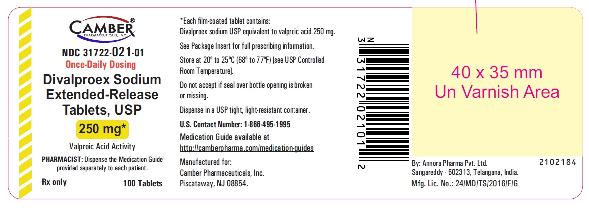 divalproex-sodium-er-tablets-containerlabel250mg100