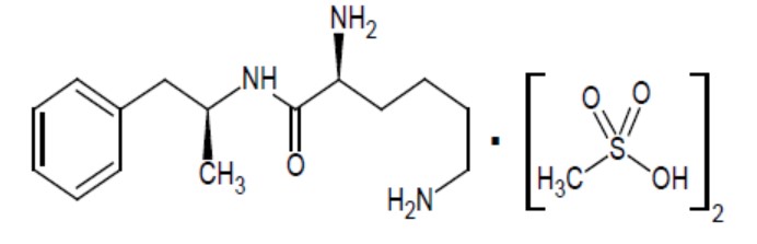 structure.jpg