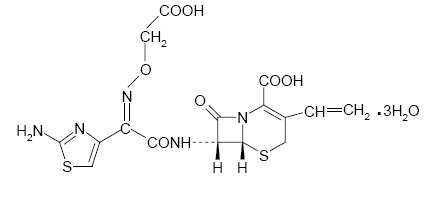 Cefixime: Package Insert - Drugs.com